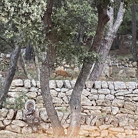 Appartamento La Studette Provencale Jouques Esterno foto
